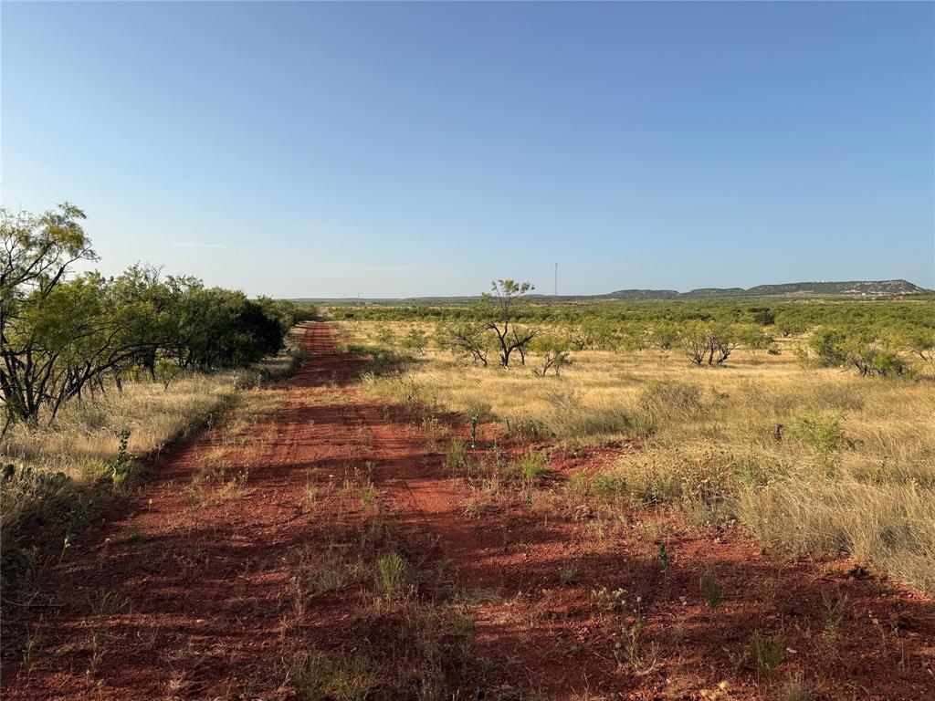 Tbd Tr 6 Fm 604 Property Photo 4