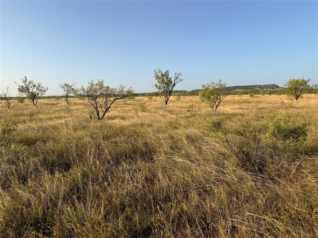 Tbd Tr 6 Fm 604 Property Photo 5