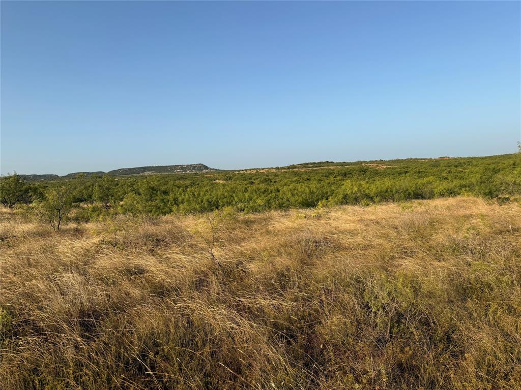 Tbd Tr 6 Fm 604 Property Photo 6