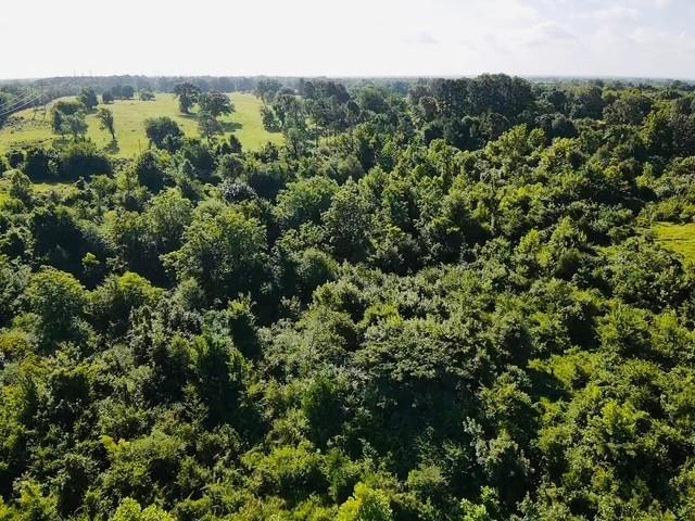 Tbd N 4230 Road Property Photo 19