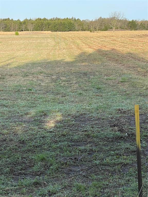 Tbd Freeman Road Property Photo 3