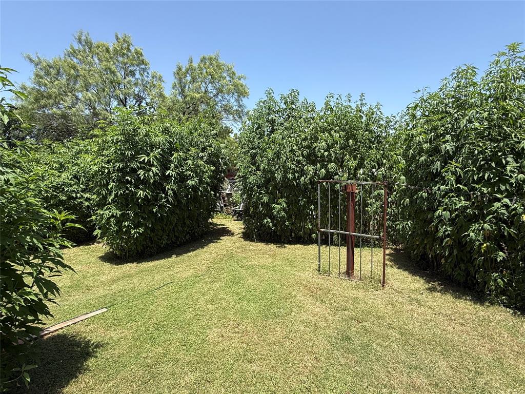 2803 Avenue C Property Photo 21