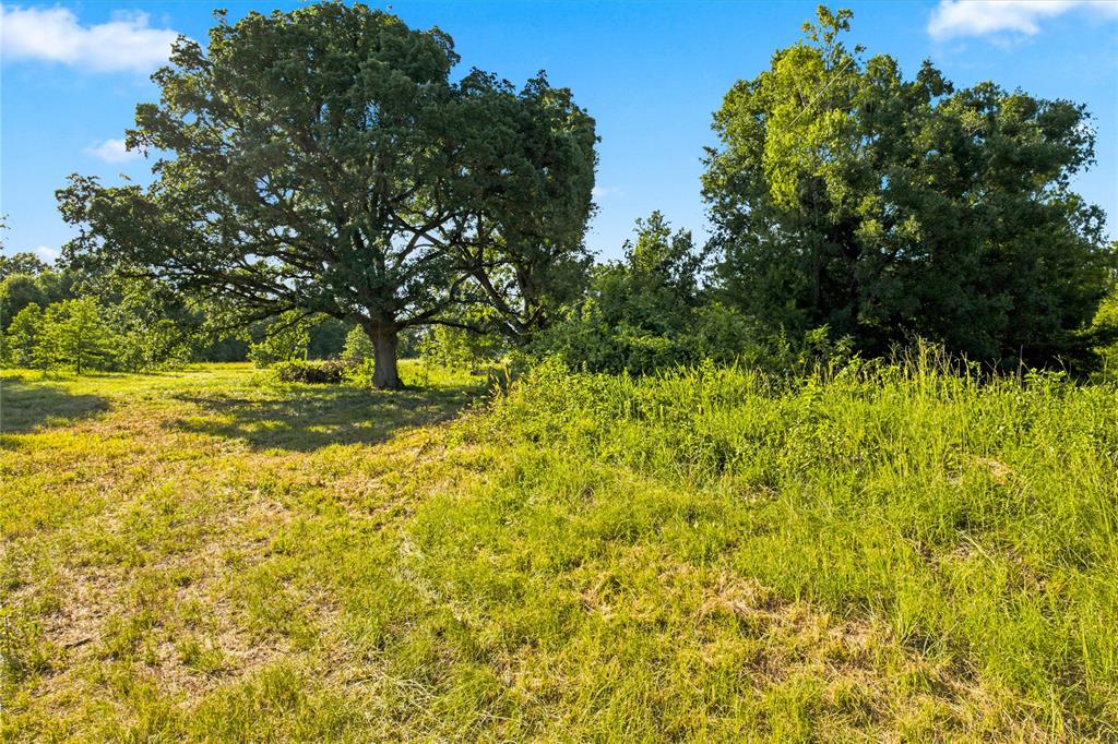 610 County Road 2040 Property Photo 3