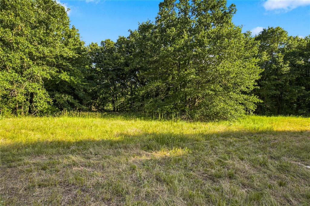 610 County Road 2040 Property Photo 6
