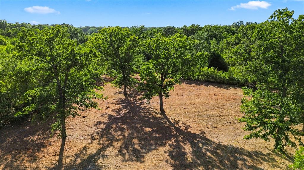 610 County Road 2040 Property Photo 14