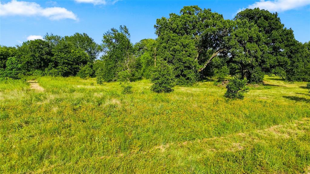 610 County Road 2040 Property Photo 23