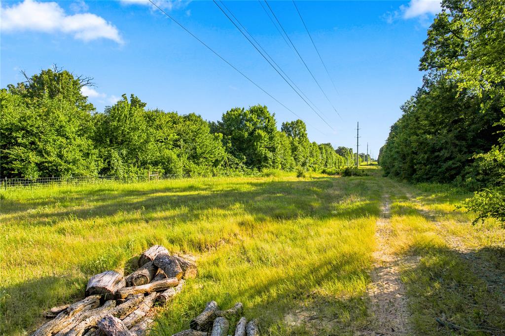 610 County Road 2040 Property Photo 31