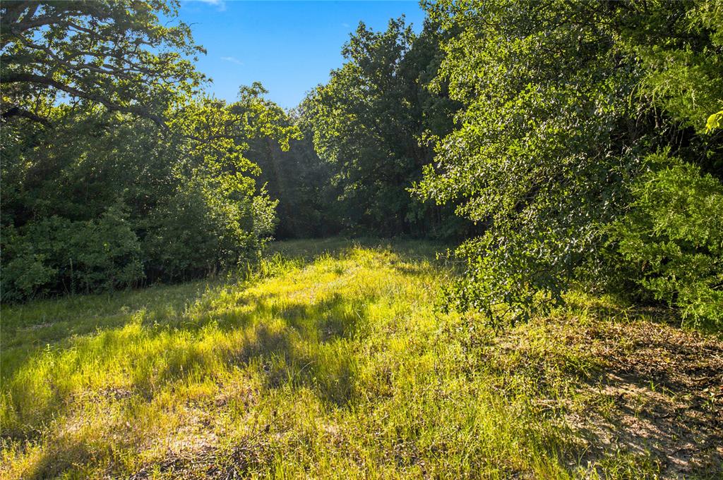 610 County Road 2040 Property Photo 32