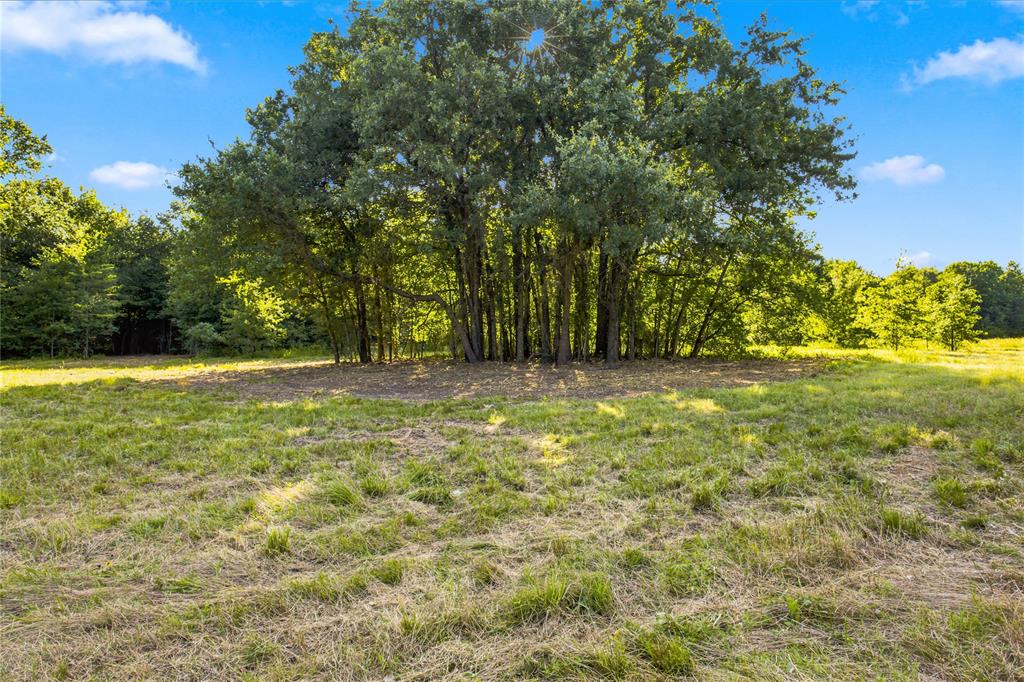 610 County Road 2040 Property Photo 34