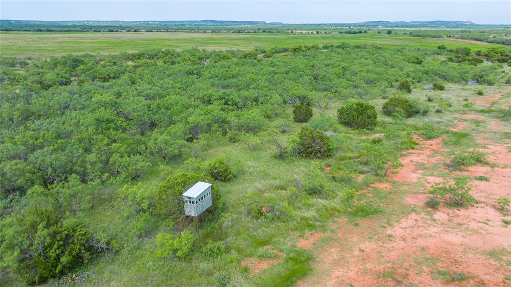 Tbd Tract 4 County Road 205 Property Photo 10