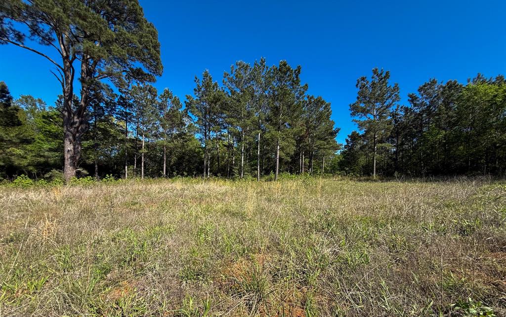 494 Cr 4403 Property Photo 9