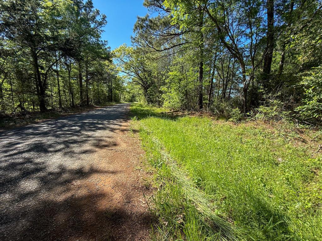 494 Cr 4403 Property Photo 13
