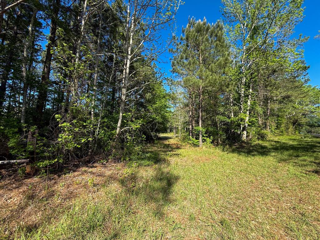 494 Cr 4403 Property Photo 14