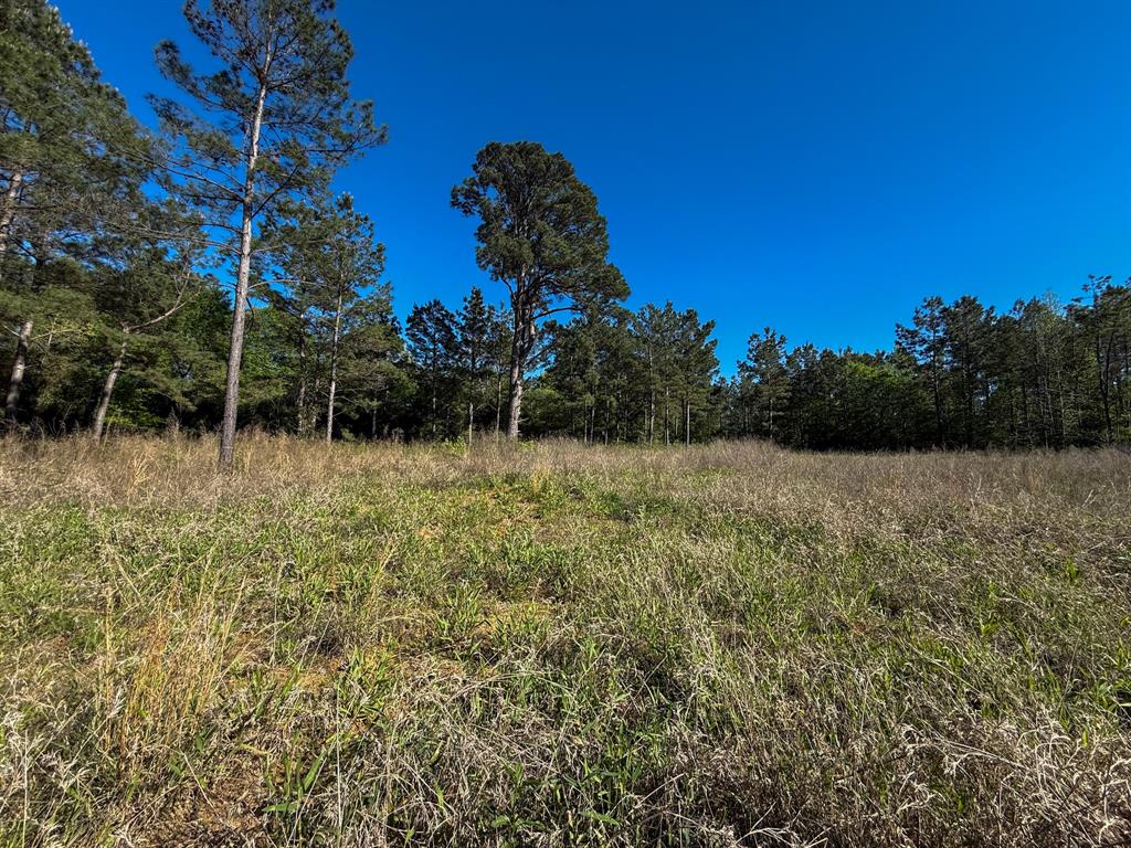 494 Cr 4403 Property Photo 15
