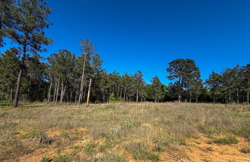 494 Cr 4403 Property Photo 16
