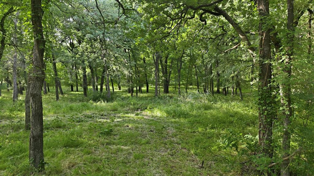 596 County Road 4668 Property Photo 36