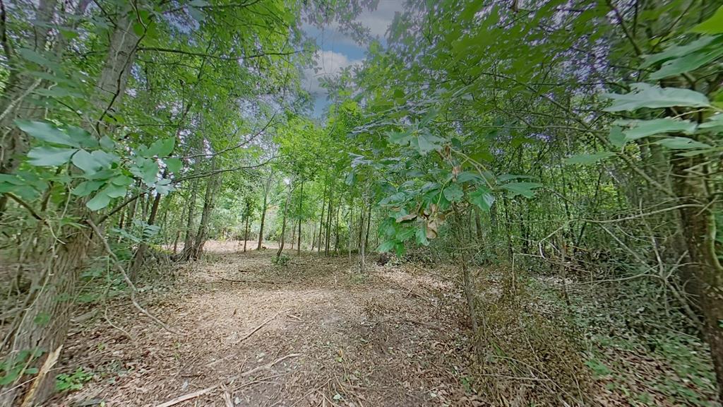 0 Treebark Property Photo 2