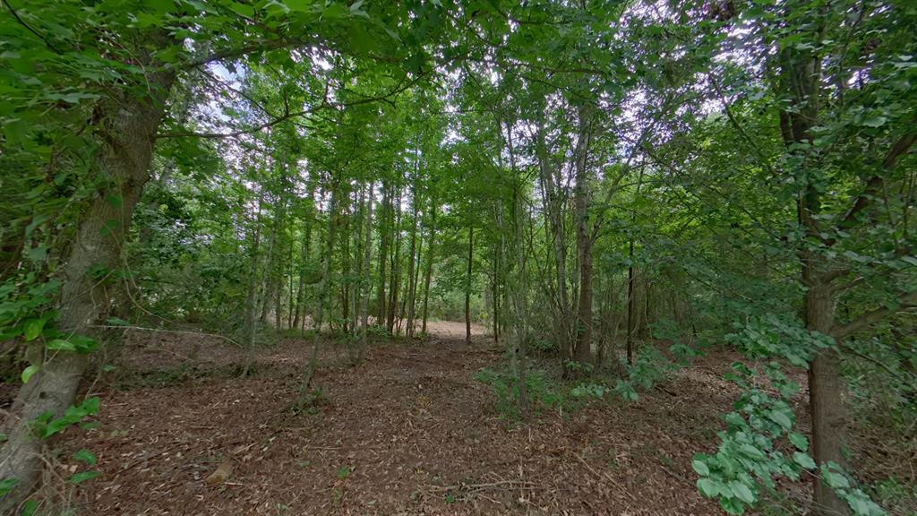0 Treebark Property Photo 3