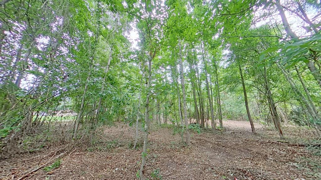 0 Treebark Property Photo 4