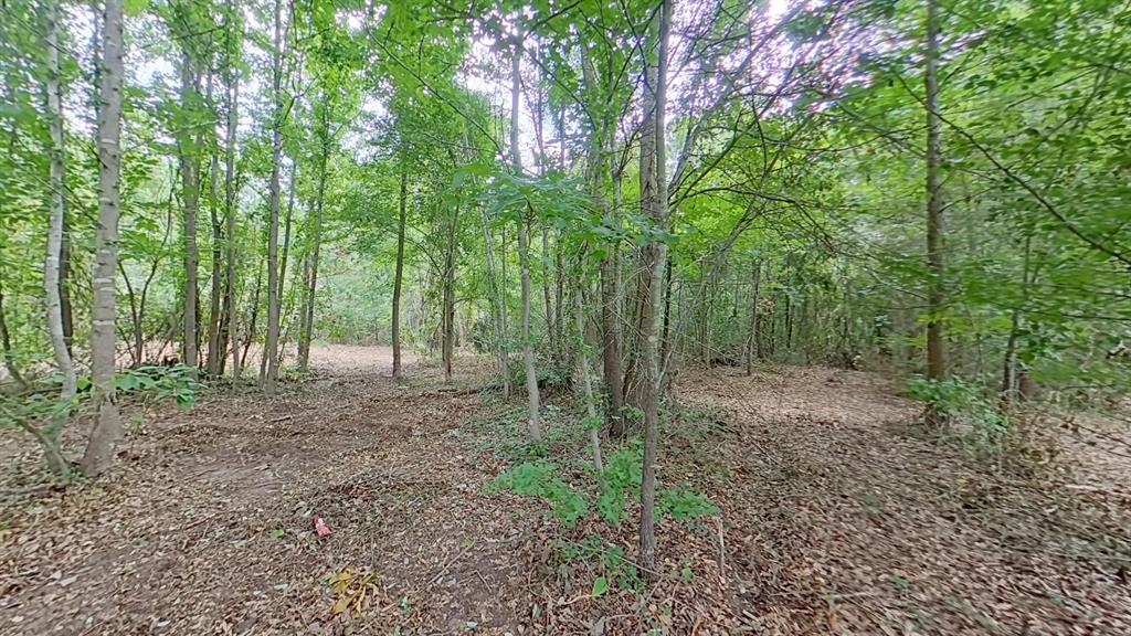 0 Treebark Property Photo 5