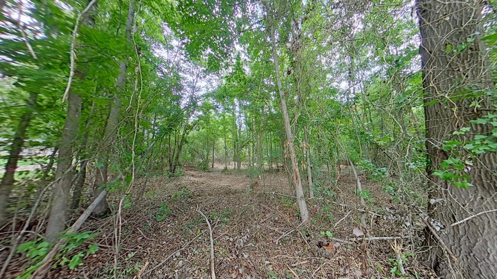 0 Treebark Property Photo 6