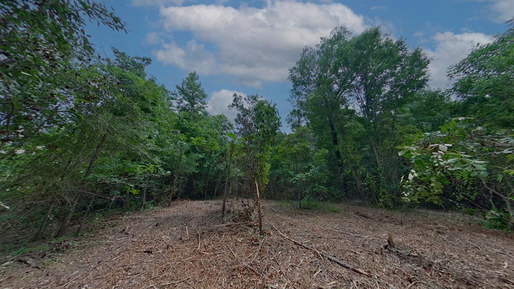 0 Treebark Property Photo 7