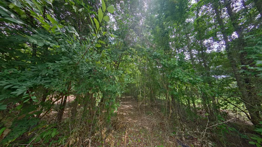 0 Treebark Property Photo 8