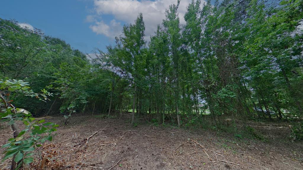 0 Treebark Property Photo 9