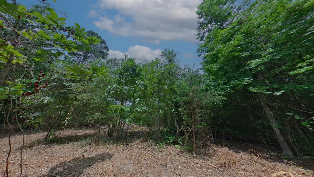 0 Treebark Property Photo 10