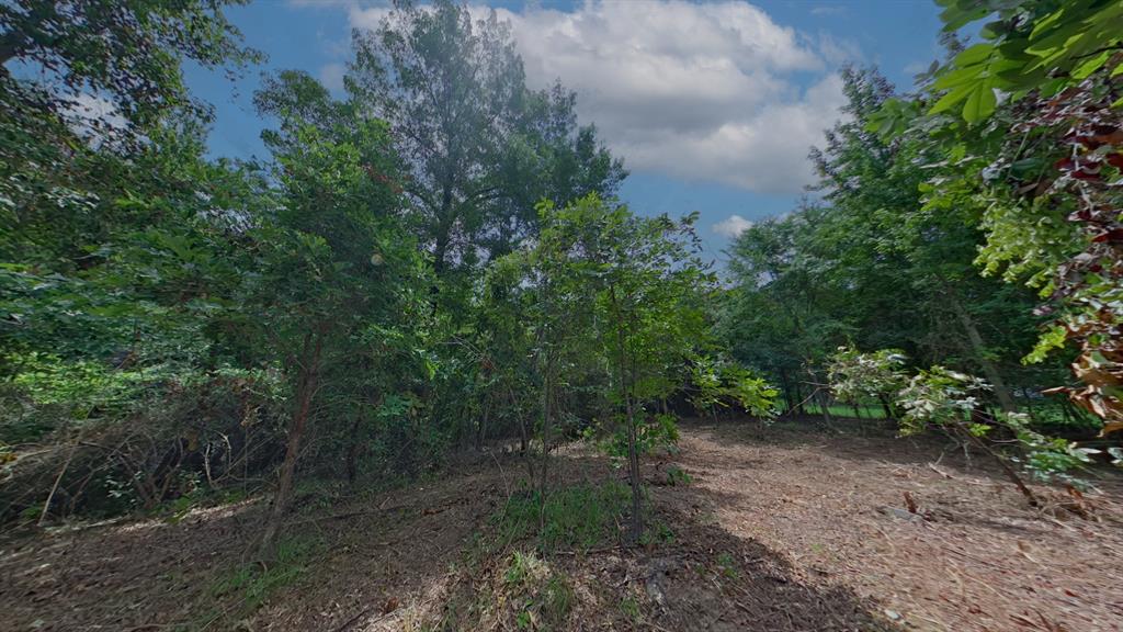 0 Treebark Property Photo 11