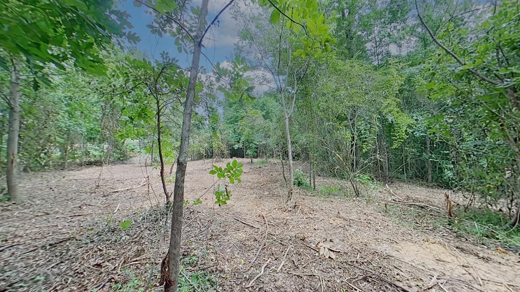 0 Treebark Property Photo 12