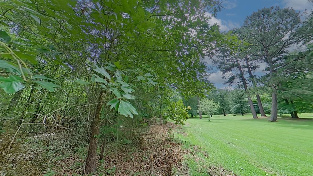 0 Treebark Property Photo 24