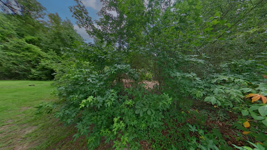 0 Treebark Property Photo 25