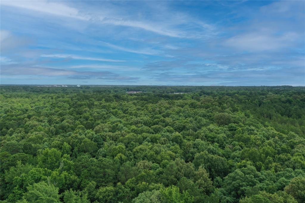 0 Treebark Property Photo 27