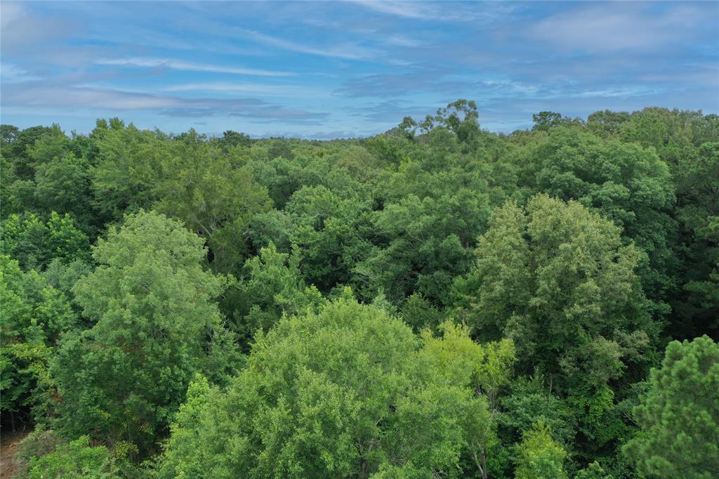 0 Treebark Property Photo 28