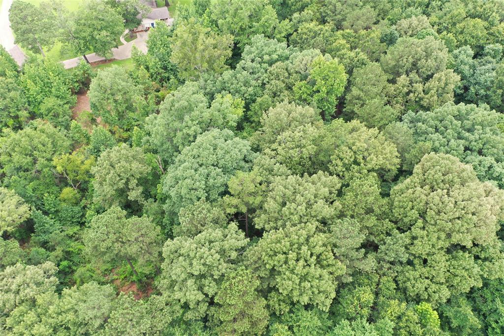 0 Treebark Property Photo 31