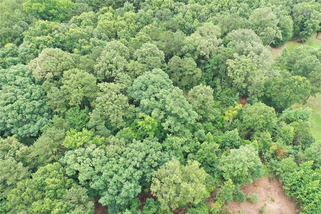 0 Treebark Property Photo 32