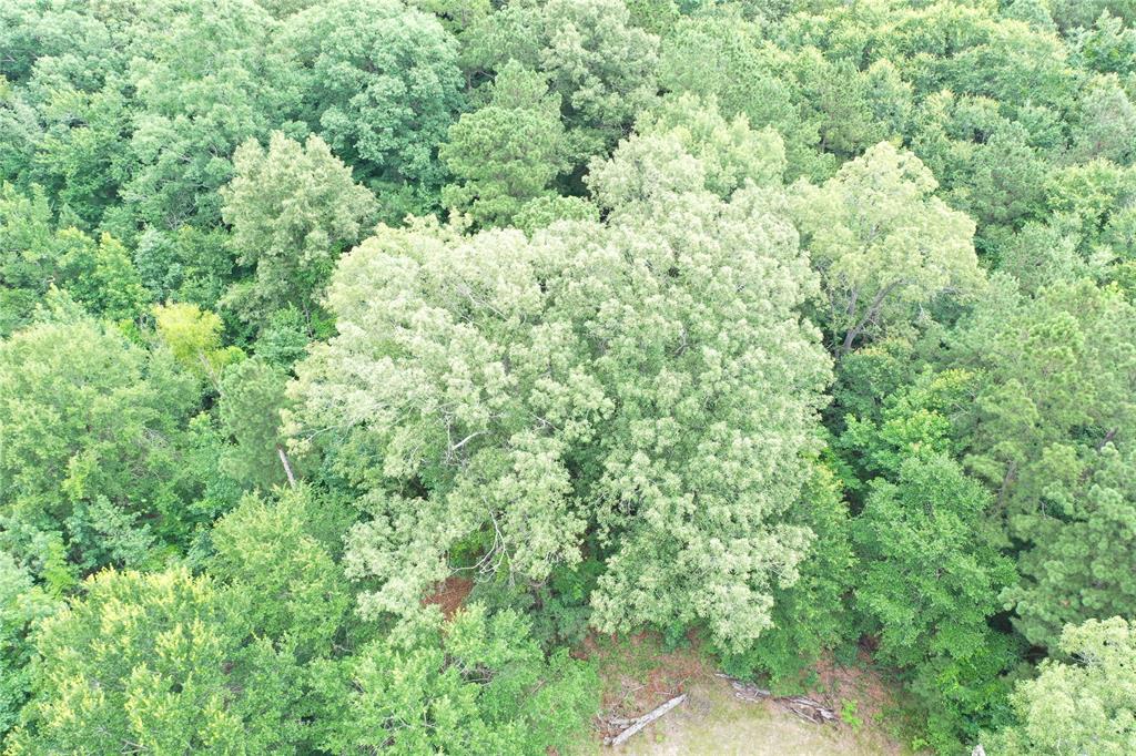 0 Treebark Property Photo 33