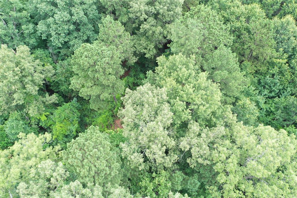 0 Treebark Property Photo 34