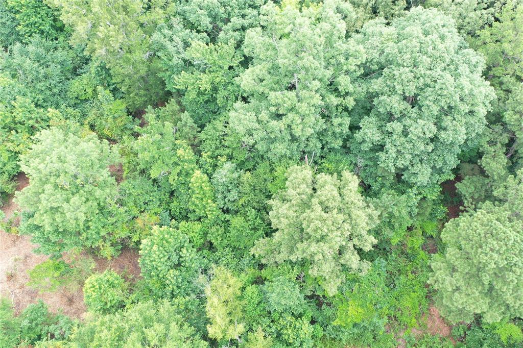 0 Treebark Property Photo 35