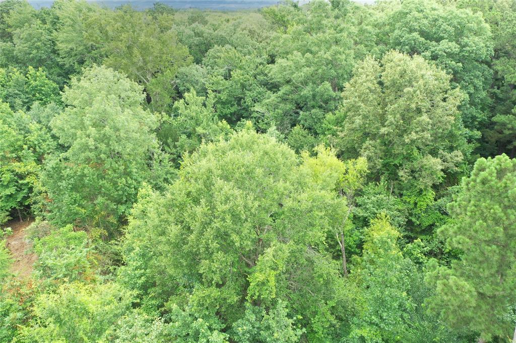 0 Treebark Property Photo 36