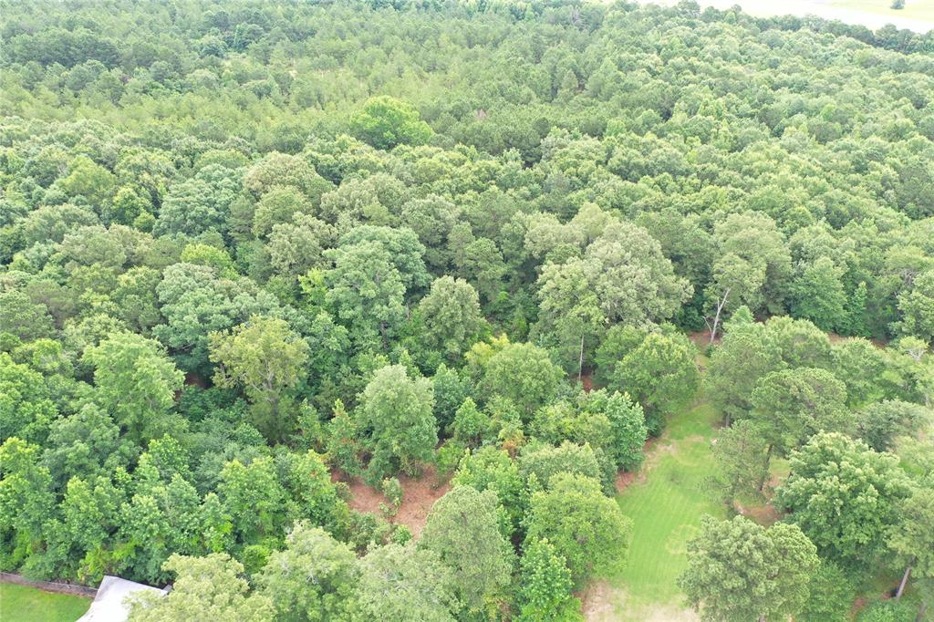 0 Treebark Property Photo 37