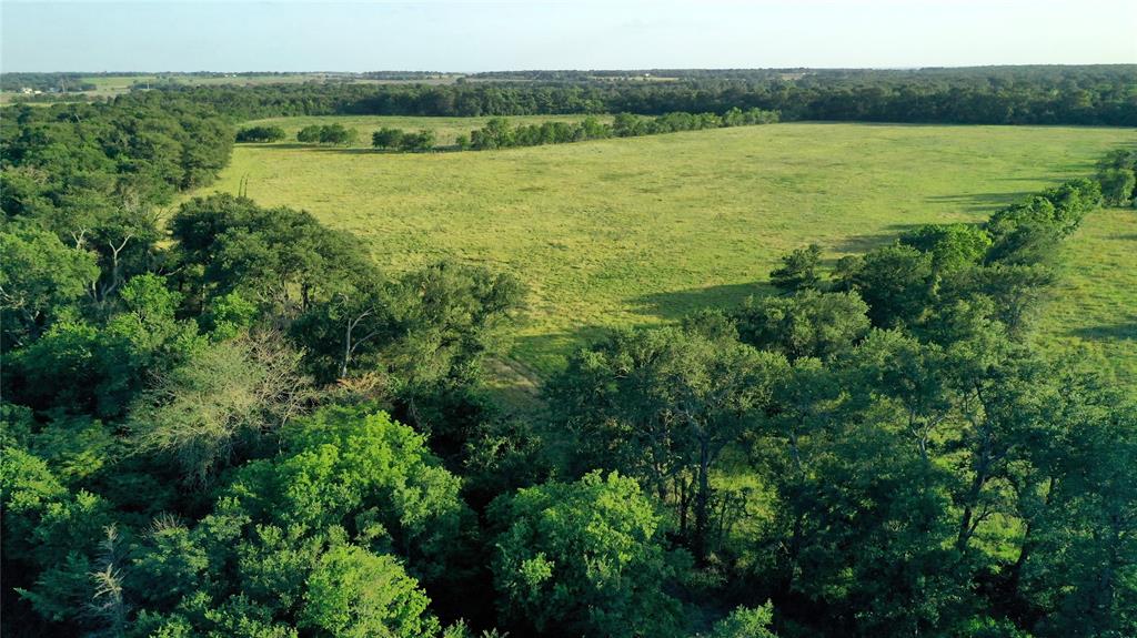Tbd Cr 120 Property Photo 3