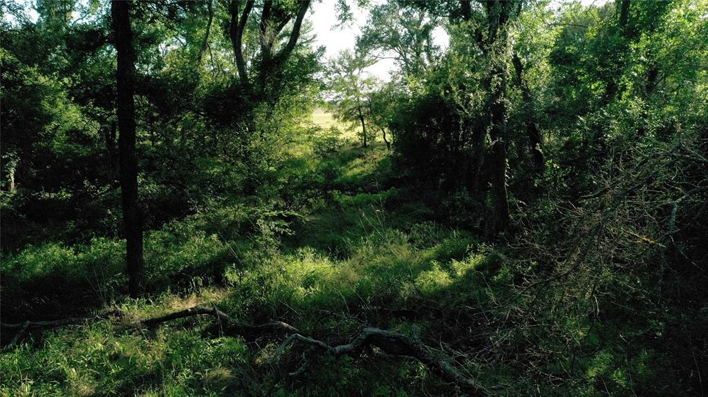 Tbd Cr 120 Property Photo 4
