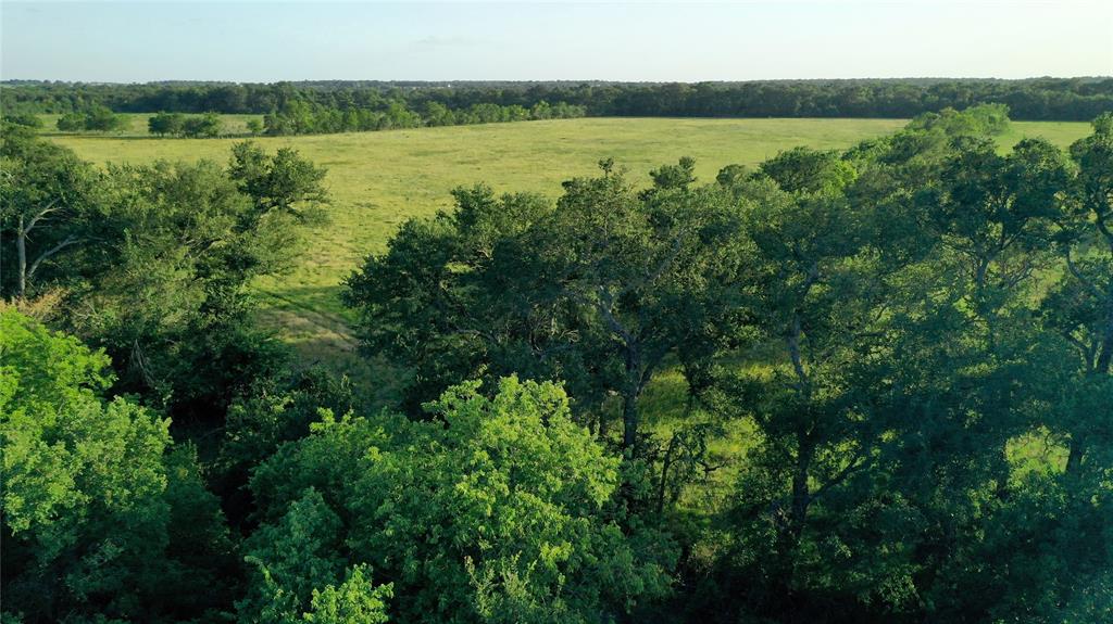Tbd Cr 120 Property Photo 6