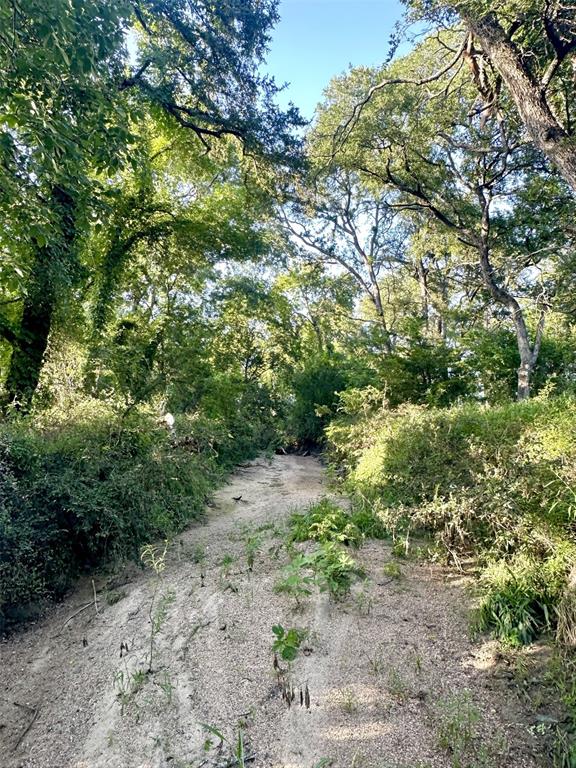 Tbd Cr 120 Property Photo 12