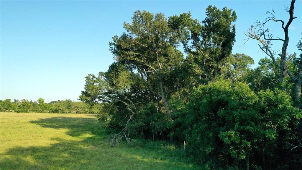 Tbd Cr 120 Property Photo 13