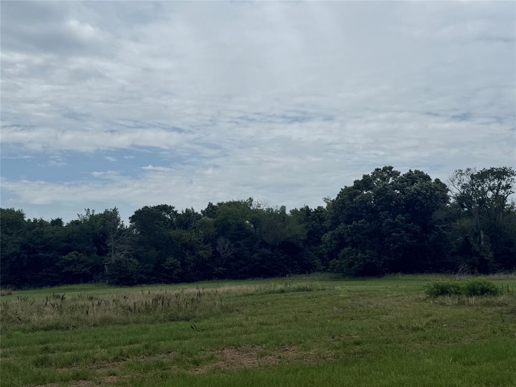 000 County Road 313 Co Rd 313 Property Photo 5