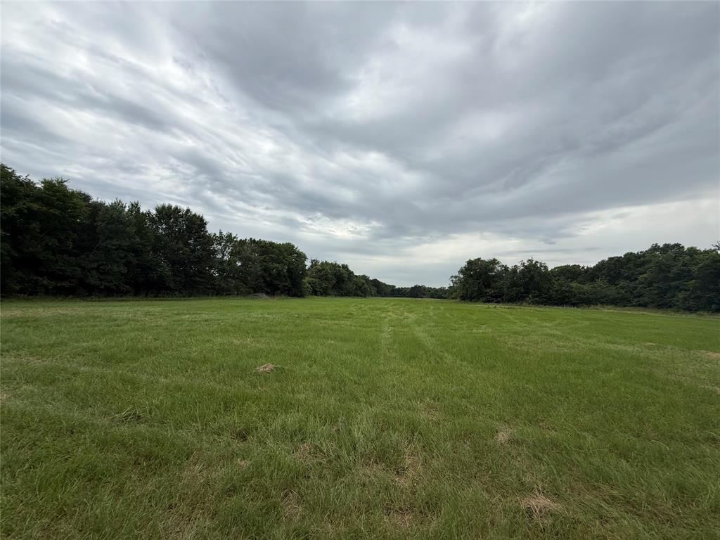 000 County Road 313 Co Rd 313 Property Photo 6