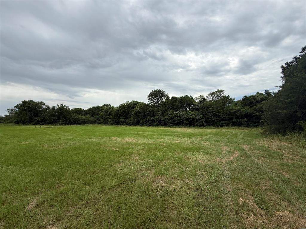 000 County Road 313 Co Rd 313 Property Photo 7